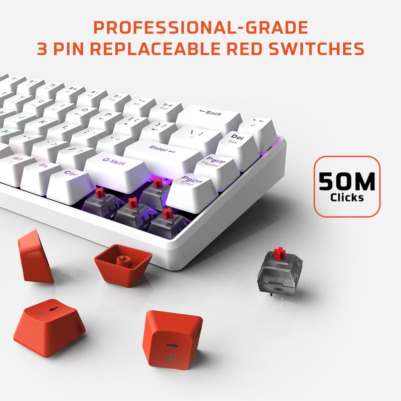 EvoFox Katana S Mini Wireless Mechanical Keyboard | Tri-Mode (3X BT, 2.4GHz & Wired) Connectivity | Hot-Swappable Red Switches | 68-Key Compact Layout | Rainbow Backlight | Rechargeable Battery - Image 3