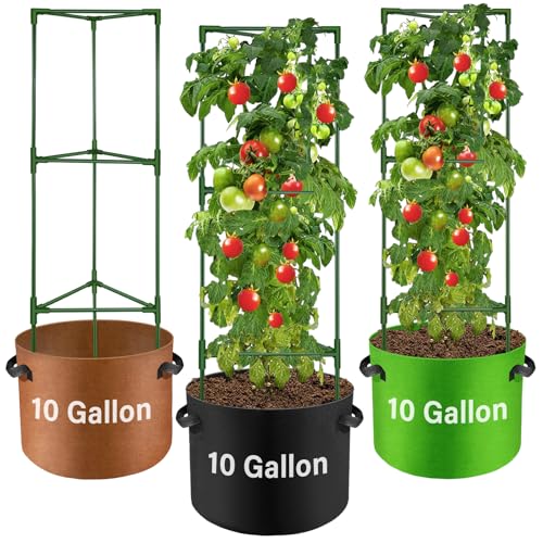 Suntee 3 Pack Tomato Cage with 10 Gallon Grow Bags 48 Inch Tomato Cages for Garden Patio Balcony Adjustable Height Tomatoes Plant Support for Climbing Vegetables Plants Flowers - Image 1