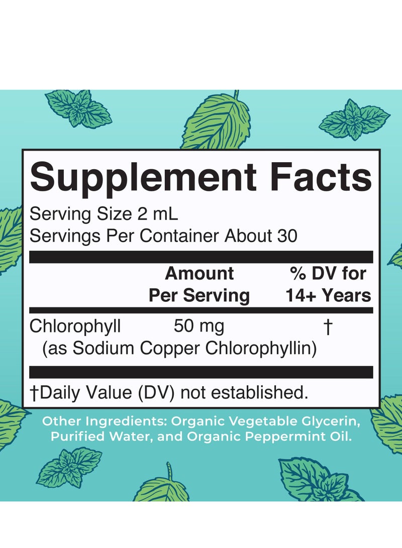 MaryRuth Organics Chlorophyll Liquid Drops | Clean Label Project Certified® | Vegan | Non-Diluted Liquid Chlorophyll| Mulberry Derived Supplement for 14+ | Non-GMO | Delicious Minty Flavor | 2 Fl Oz  - Image 2