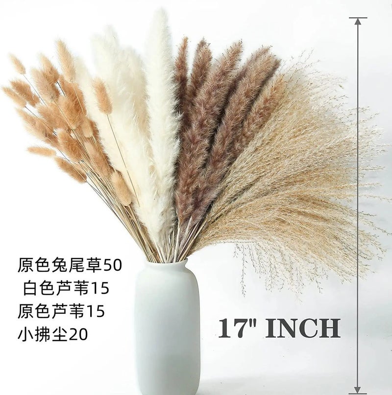 Bluejw Best-Selling Small Reed Dried Flowers Wedding Bouquet – Scandinavian Style Dried Plants Arrangement for Home Decor & Bridal Bouquets - Image 1