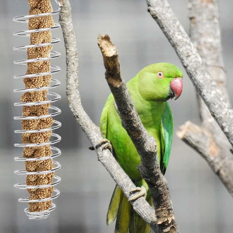 DONGKER 2 Pcs Parrot Treat Holder,Stainless Steel Food Skewer for Parrot Parakeet Cockatiels - Image 4