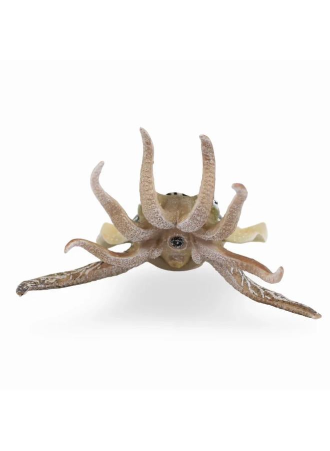 CollectA Common Cuttlefish Figurine - Image 3