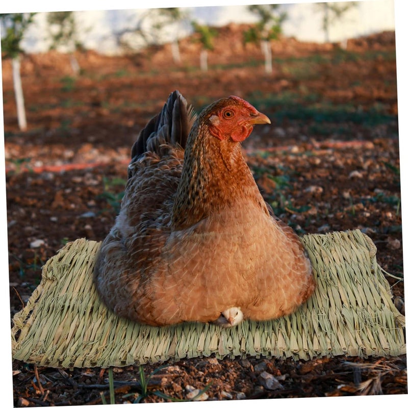 Levemolo 4pcs Chicken Nesting Box Mats Comfortable Straw Bedding for Chicken Coop Nest Box Supplies for Collection Suitable for Nest - Image 3