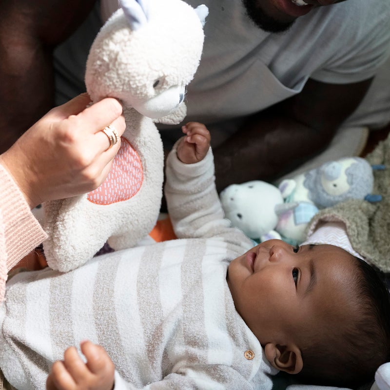 Ingenuity Premium Soft Mini Bean Bag Plush  Nate The Teddy Bear  Ages Newborn and up. - Image 4