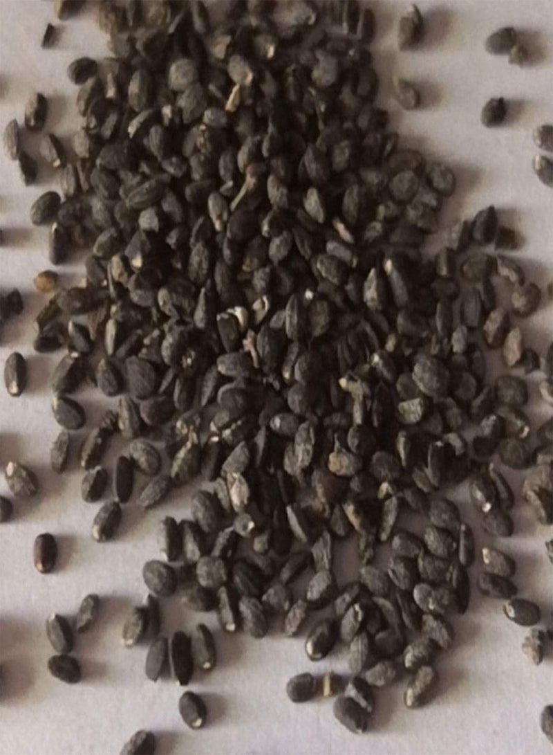 جي جوت 20 قطعة من بذور إيسكينانثوس، منعشة، ذات شكل خاص، حمراء، بذور حديقة جمالية للمطبخ والحديقة والشرفة - بذور إيسكينانثوس - Image 5