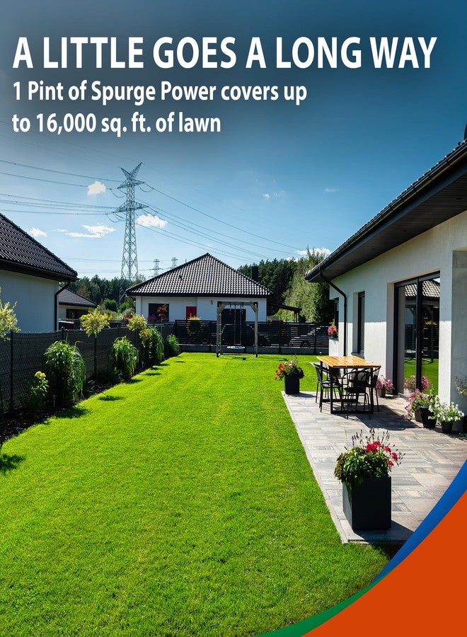 مونتيري سبيرج باور مع ملعقة قياس - مبيد أعشاب مركز انتقائي بعد الإنبات - 1 باينت - Image 3