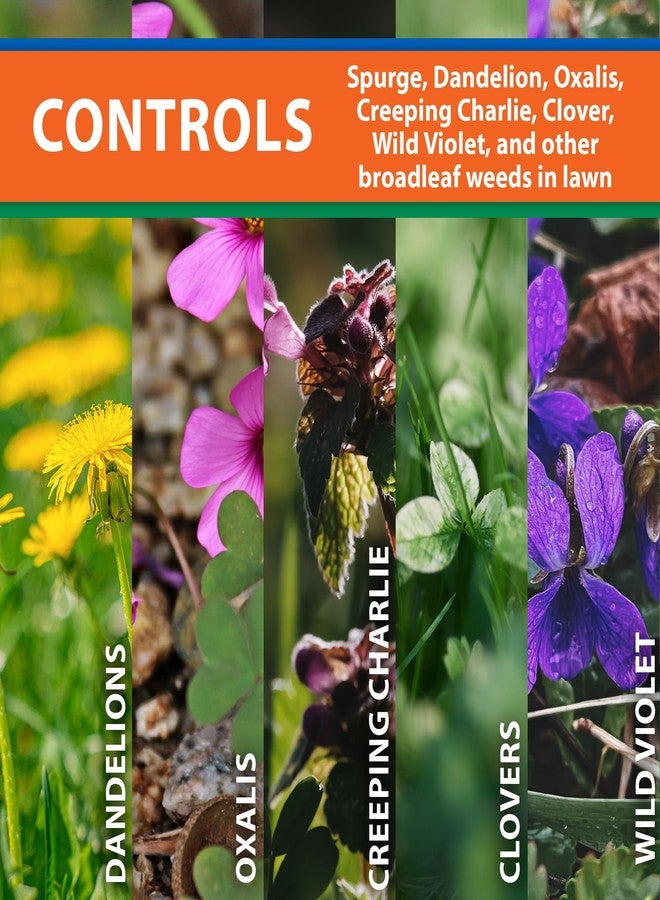 مونتيري سبيرج باور مع ملعقة قياس - مبيد أعشاب مركز انتقائي بعد الإنبات - 1 باينت - Image 2