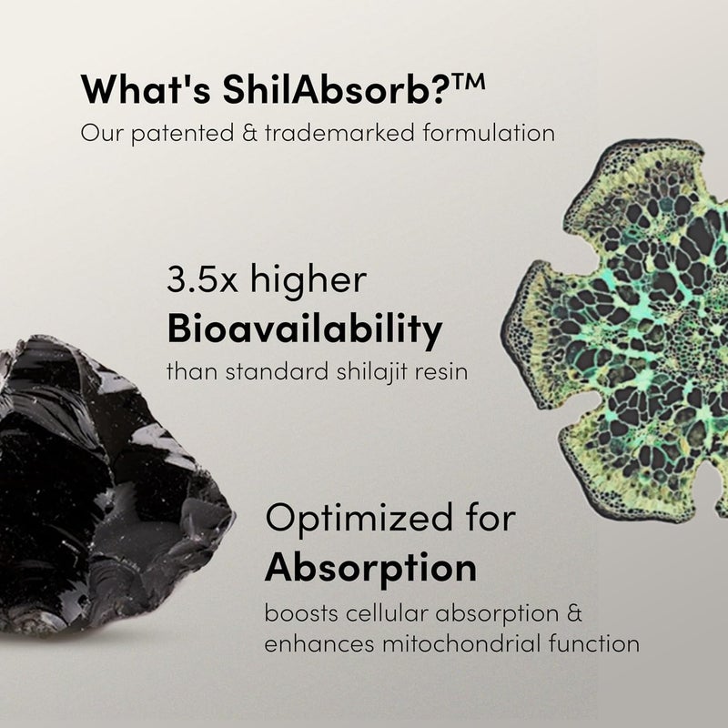 Man Matters جلوبي شيلجيت هيمالايا النقي مع 75% حمض فلفيك و KSM 66 أشواغاندا | يعزز القدرة على التحمل والقوة ويحسن مستويات الطاقة | بدون سكر مضاف | عبوة من 30 - Image 3