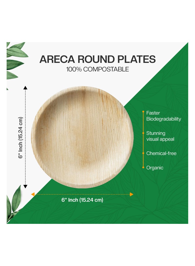 EcoEdge 6 Inch Round Areca Palm Leaf Disposable Plates (Pack of 10) | Non-Toxic, Tree-Free, Eco Friendly, Biodegradable, Compostable | Elegantly Sustainable| Heavy Duty | 100% Plant Based - Image 3