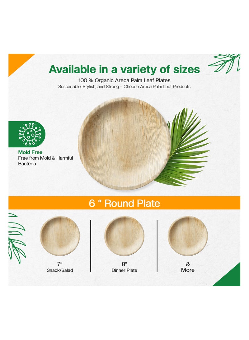 EcoEdge 6 Inch Round Areca Palm Leaf Disposable Plates (Pack of 10) | Non-Toxic, Tree-Free, Eco Friendly, Biodegradable, Compostable | Elegantly Sustainable| Heavy Duty | 100% Plant Based - Image 5