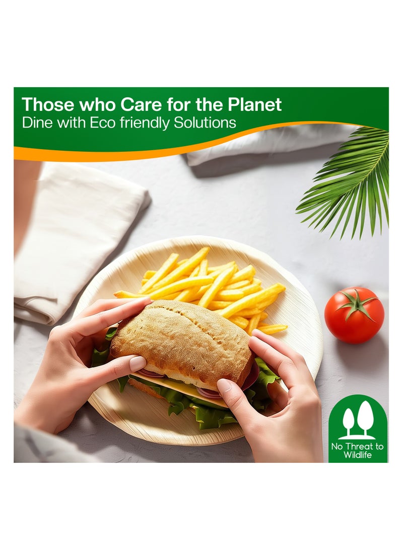 EcoEdge 6 Inch Round Areca Palm Leaf Disposable Plates (Pack of 10) | Non-Toxic, Tree-Free, Eco Friendly, Biodegradable, Compostable | Elegantly Sustainable| Heavy Duty | 100% Plant Based - Image 2