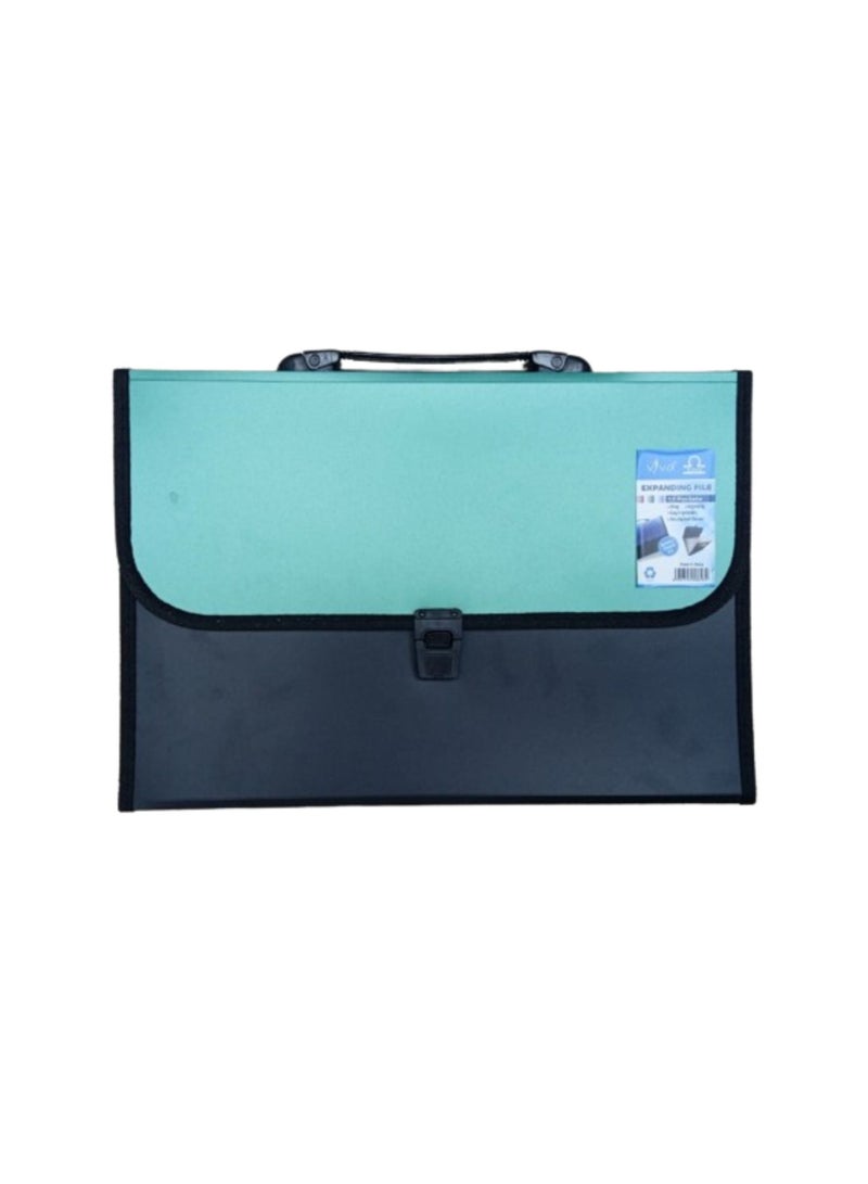 Libra 13 Pocket Expending File W/Handle Full Scape Metallic Opaque Green/Black - Image 1