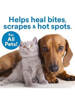 SkinSmart Antimicrobial SkinSmart Antimicrobial Skin and Wound Care for Pets, Removes Bacteria to Promote Healing and Relieves Itch, 8 Ounce Spray Bottle  - Image 2
