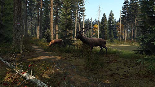 Sold Out Dayz - PlayStation 4 - Image 2