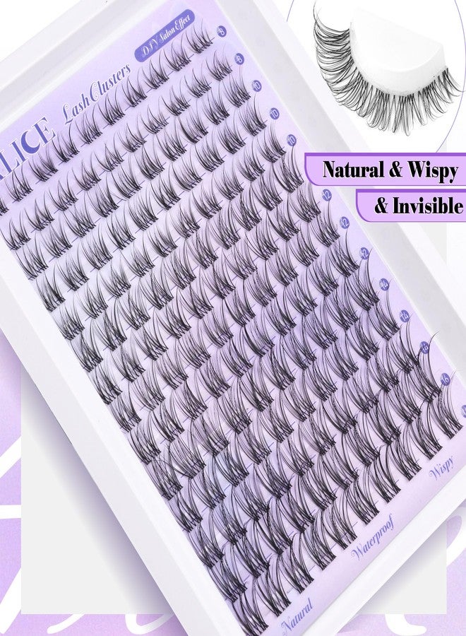 Alice Lash Clusters Natural Lash Extensions Invisible Band Waterproof 8-16mm Cluster Eyelash Extensions Wispy Eyelash Clusters Individual Lashes Cluster Lashes by ALICE - Image 3