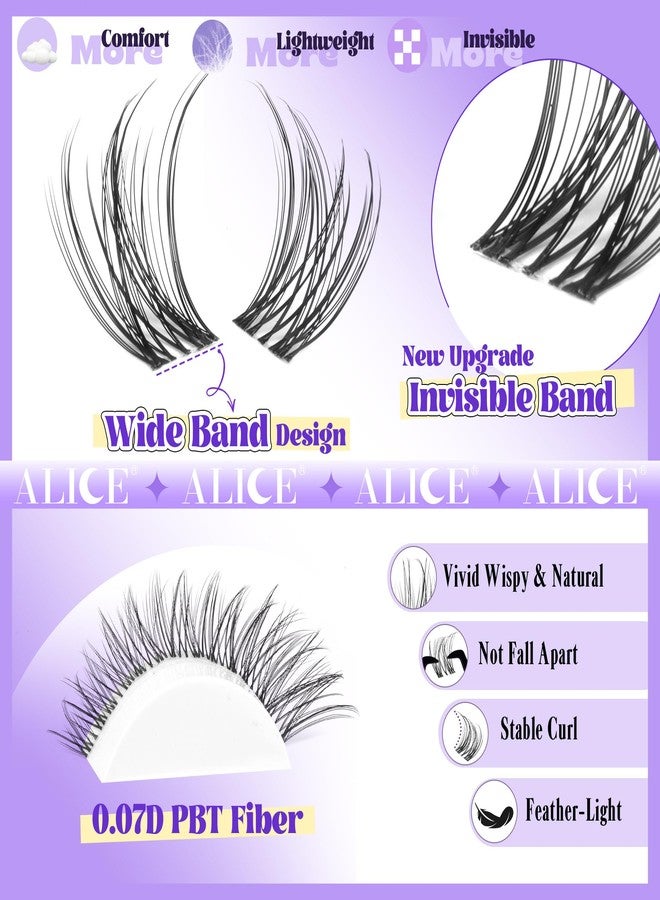 Alice Lash Clusters Natural Lash Extensions Invisible Band Waterproof 8-16mm Cluster Eyelash Extensions Wispy Eyelash Clusters Individual Lashes Cluster Lashes by ALICE - Image 5