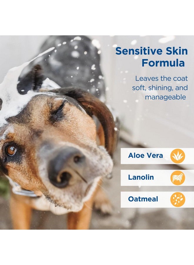 زودياك شامبو الشوفان المرطب للكلاب والجراء، 18 أونصة، حجم صغير - Image 3