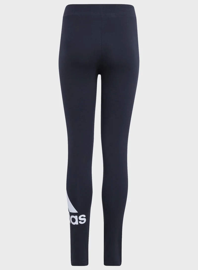 adidas بنطال ضيق جي بي ال