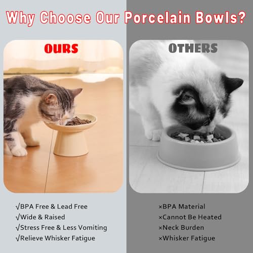 LOVINFURBABY Wide Shallow 6.1" Raised Cat Bowls, Ceramic Elevated Food Plate for Flat Faced Cats and Small Dogs, Porcelain Feeder Bowl, Stress Free, Protect Cat’s Spine, Cream - Image 5