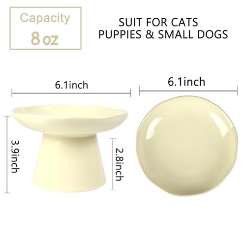 LOVINFURBABY Wide Shallow 6.1" Raised Cat Bowls, Ceramic Elevated Food Plate for Flat Faced Cats and Small Dogs, Porcelain Feeder Bowl, Stress Free, Protect Cat’s Spine, Cream - Image 2