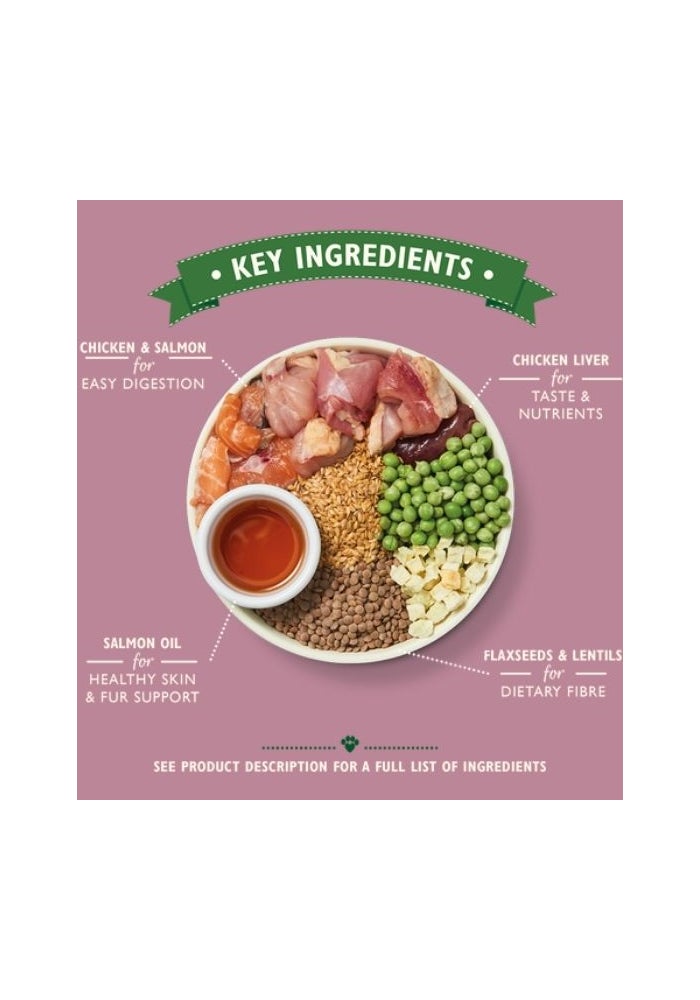 Lily's Kitchen Puppy Recipe with Chicken, Salmon & Peas Dry Food - 1KG - Image 2
