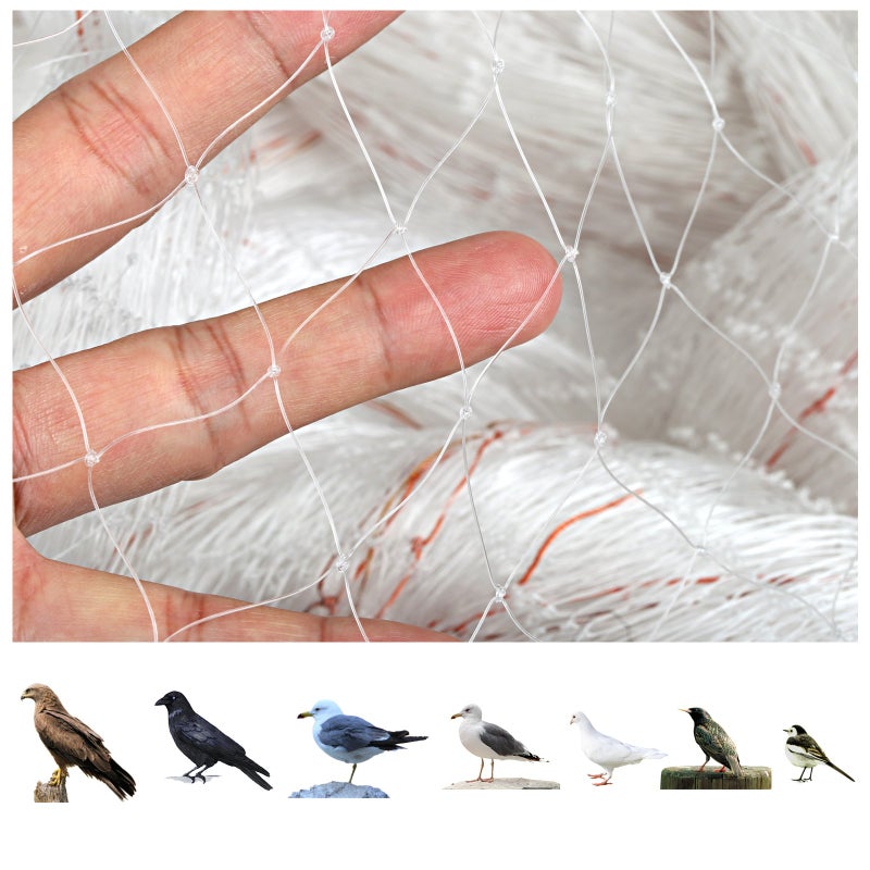 GWHOLE GWHOLE 33 x13 Ft Garden Netting for Tree and Plant ProtectionTranslucent