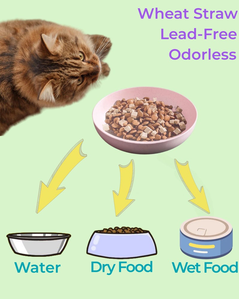 ZYUTONG 6-Pack Cat Food Bowl with Non-Slip Feet, Whisker Fatigue Cat Dishes for Food, Plastic Cats Bowls Set for Multi-Cats Homes, 5.5" Wide Shallow Relief Kitten Bowls BPA-Free, Dishwasher Safe - Image 4