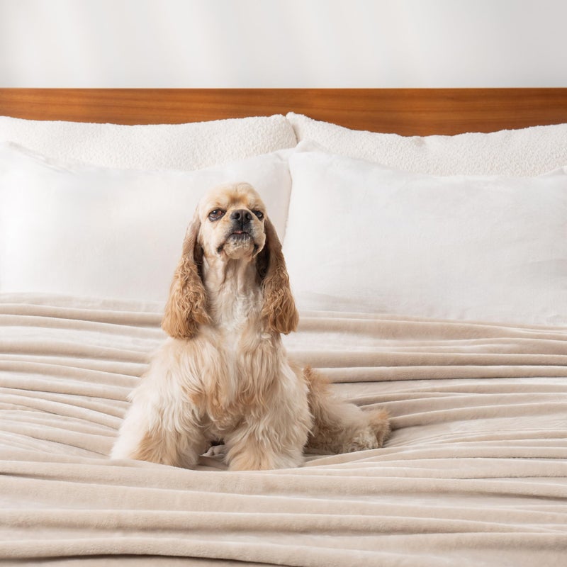 Berkshire Blanket Classic VelvetLoftÂ® Solid Bed Blanket, Twin Size Bed Blanket, Lightweight Soft Fuzzy Plush Blanket for Bed and Couch, Grain, 60x92 Inches - Image 5