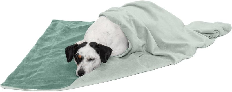 Waterproof Throw Blanket for Dogs & Indoor Cats, Washable - Two-Tone Luxe Velvet Dog Blanket - Celadon Green, Medium