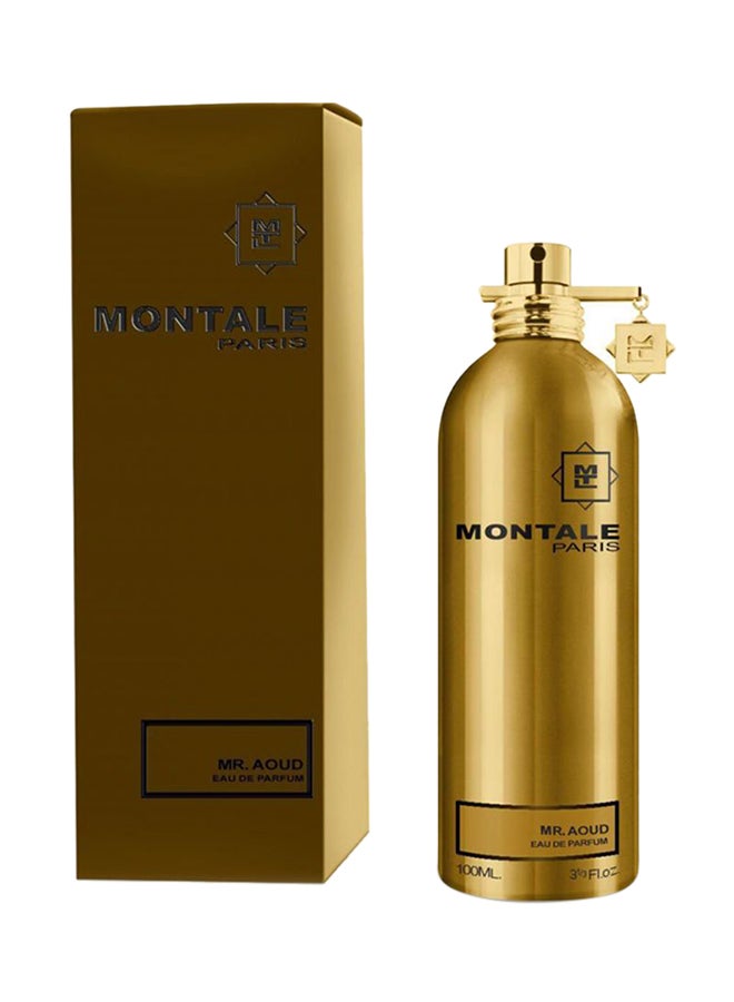 MONTALE Mr. Aoud EDP 100ml - Image 2