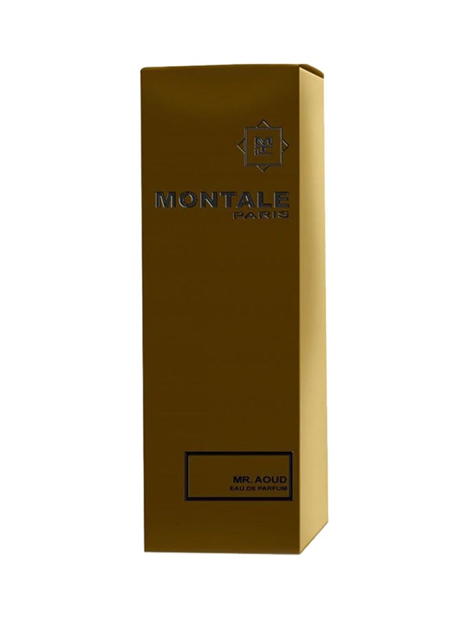 MONTALE Mr. Aoud EDP 100ml - Image 3