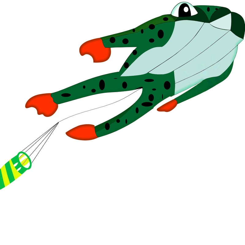 HENGDA KITE 3D Frog Kite for Kids and AdultsEasy to FlyExcellent Fabric and Structure DesignHuge Frameless Soft Parafoil Giant Kites - Image 2