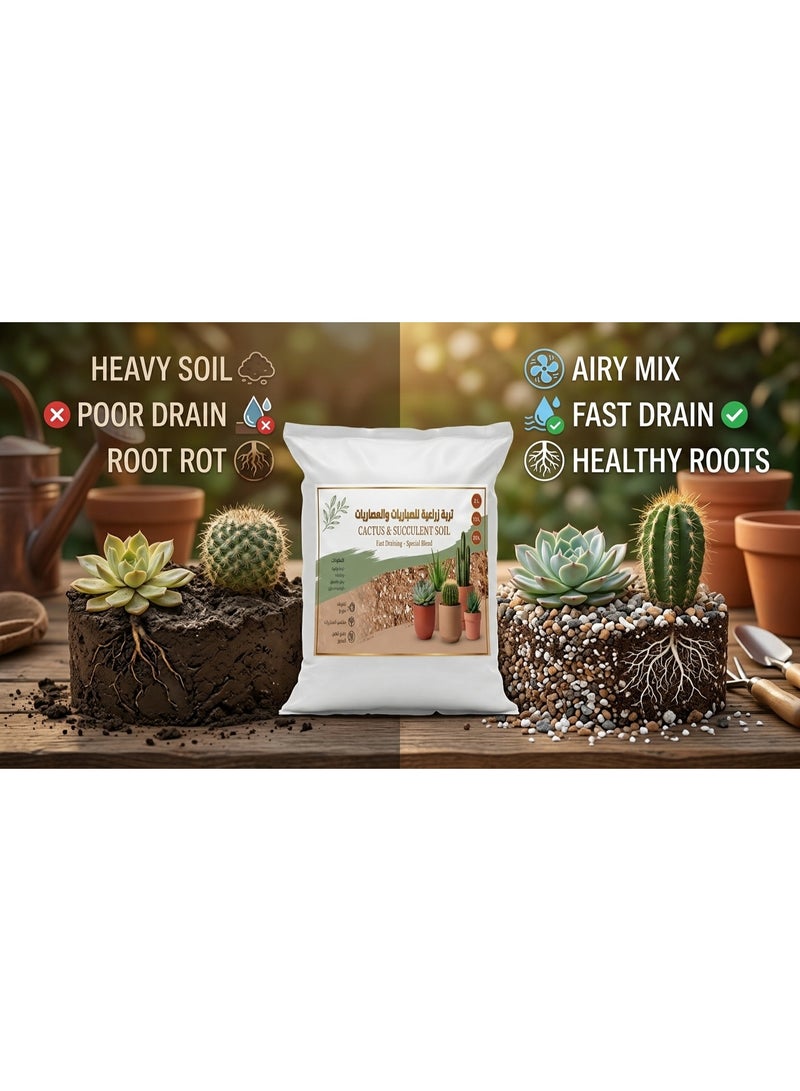 Premium Succulent & Cactus Potting Soil 100% Organic Ultra-Fast Drainage Growing Medium for Aloe Vera & Desert Plants Max Root Aeration - 5 L - Image 4