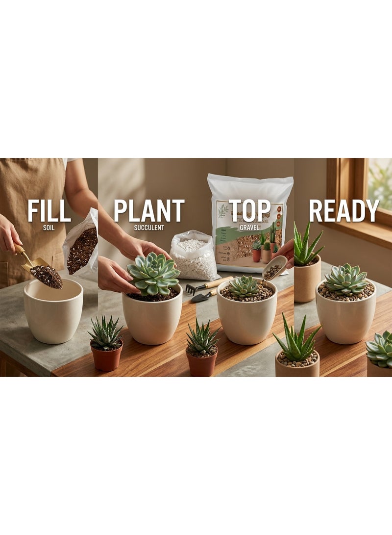 Premium Succulent & Cactus Potting Soil 100% Organic Ultra-Fast Drainage Growing Medium for Aloe Vera & Desert Plants Max Root Aeration - 5 L - Image 2