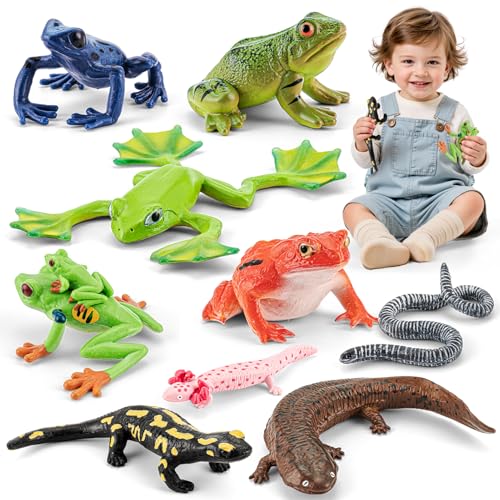 THINKBAY 9PCS Amphibian Animals Figurines Toys for Kids with Rainforest Reptile Animals Figurines Include Salamanders Ichthyophis Frog Figures Cake Toppers Party Favors for Toddler - Image 1
