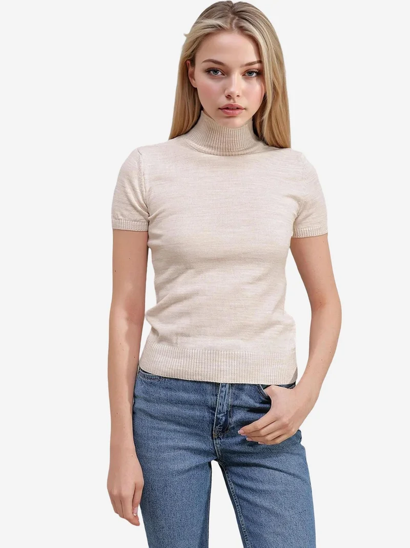 BIG DART BDART Fitted Ribbed Turtleneck Sweater