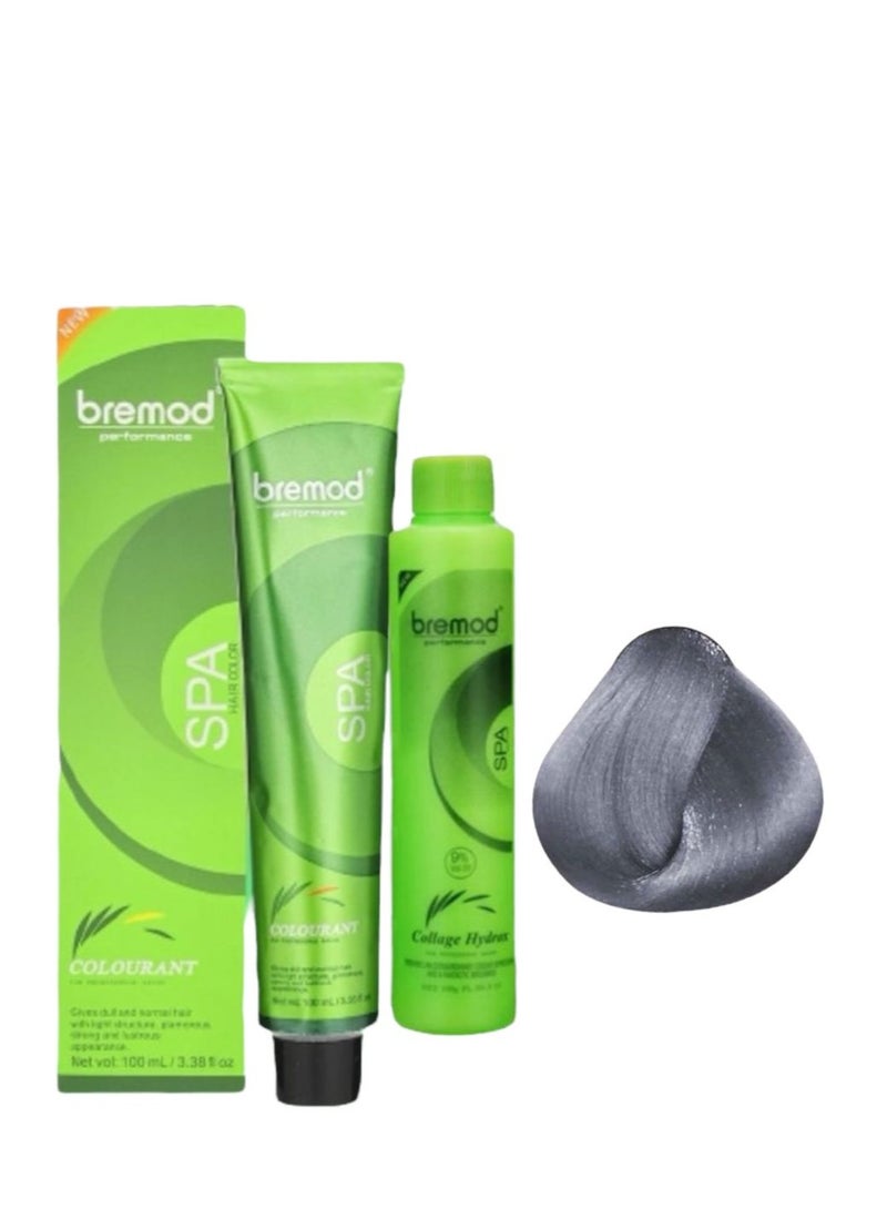 بريمود صبغة الشعر بريمود بيرفورمانس سبا (9.01 رمادي معدني) 100 مل - Image 1