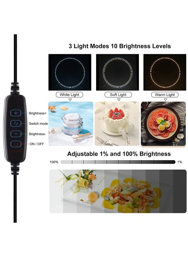 PULUZ صندوق استوديو الصور، 40 سم صندوق ضوء قابل للطي مع حلقة ضوء LED استوديو تصوير محمول مجموعة خيمة تصوير 12 خلفية ألوان صندوق ضوء USB للهواتف وكاميرات DSLR 16 × 16 بوصة - Image 2