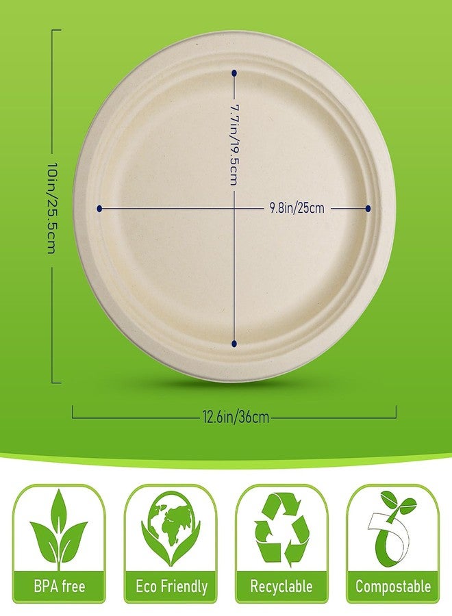 KisSealed 120 Pack Compostable Oval Disposable Plates,Bulk Heavy Duty Paper Plates 12 Inch,Eco Friendly Biodegradable Sugarcane Fiber Dinner Plates for BBQ, Party, Gathering, and Picnic - Image 2