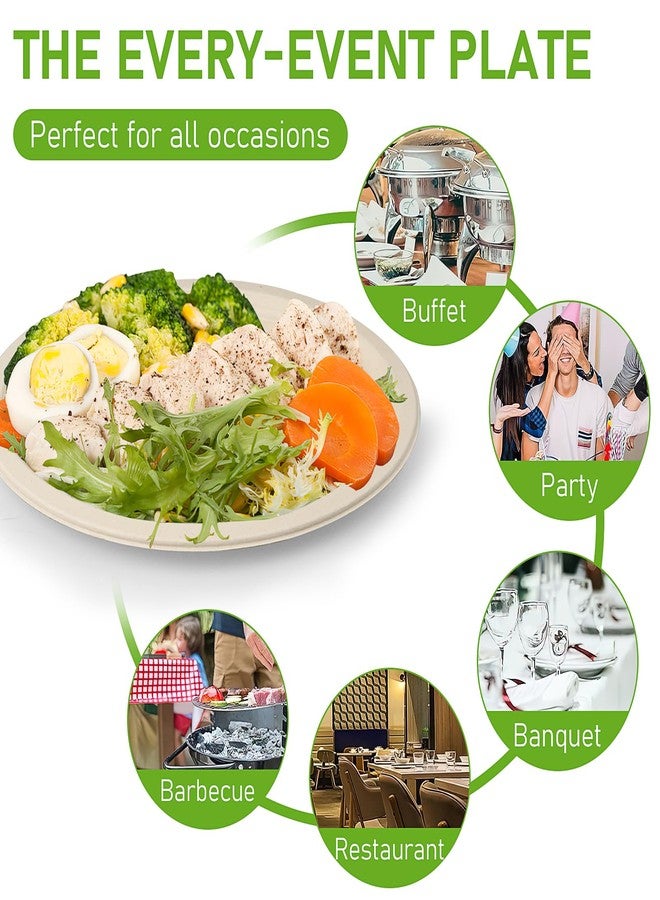 KisSealed 120 Pack Compostable Oval Disposable Plates,Bulk Heavy Duty Paper Plates 12 Inch,Eco Friendly Biodegradable Sugarcane Fiber Dinner Plates for BBQ, Party, Gathering, and Picnic - Image 3