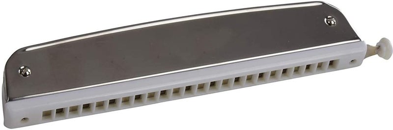 REVEL 10 Key C 10 Hole Diatonic Blues Mouth Organ Harmonica for Professional Player, Silver. With case and cleaning cloth - Image 4