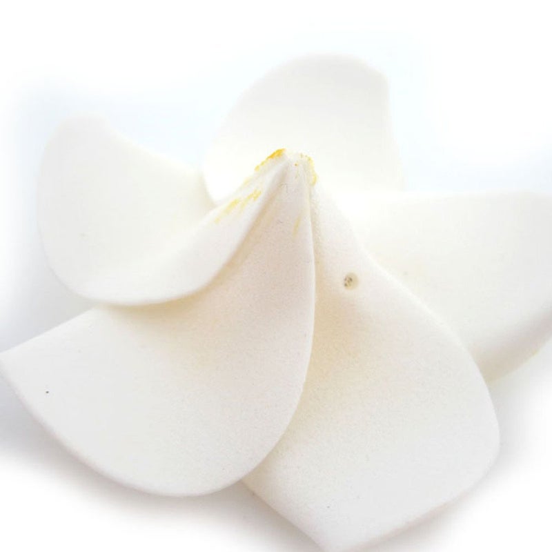 Pursuestar Pursuestar 100Pcs White Foam Hawaiian Frangipani Artificial Plumeria Flower Petals Cap Hair Hat Wreath Floral DIY Home Wedding Decoration 5cm  - Image 3