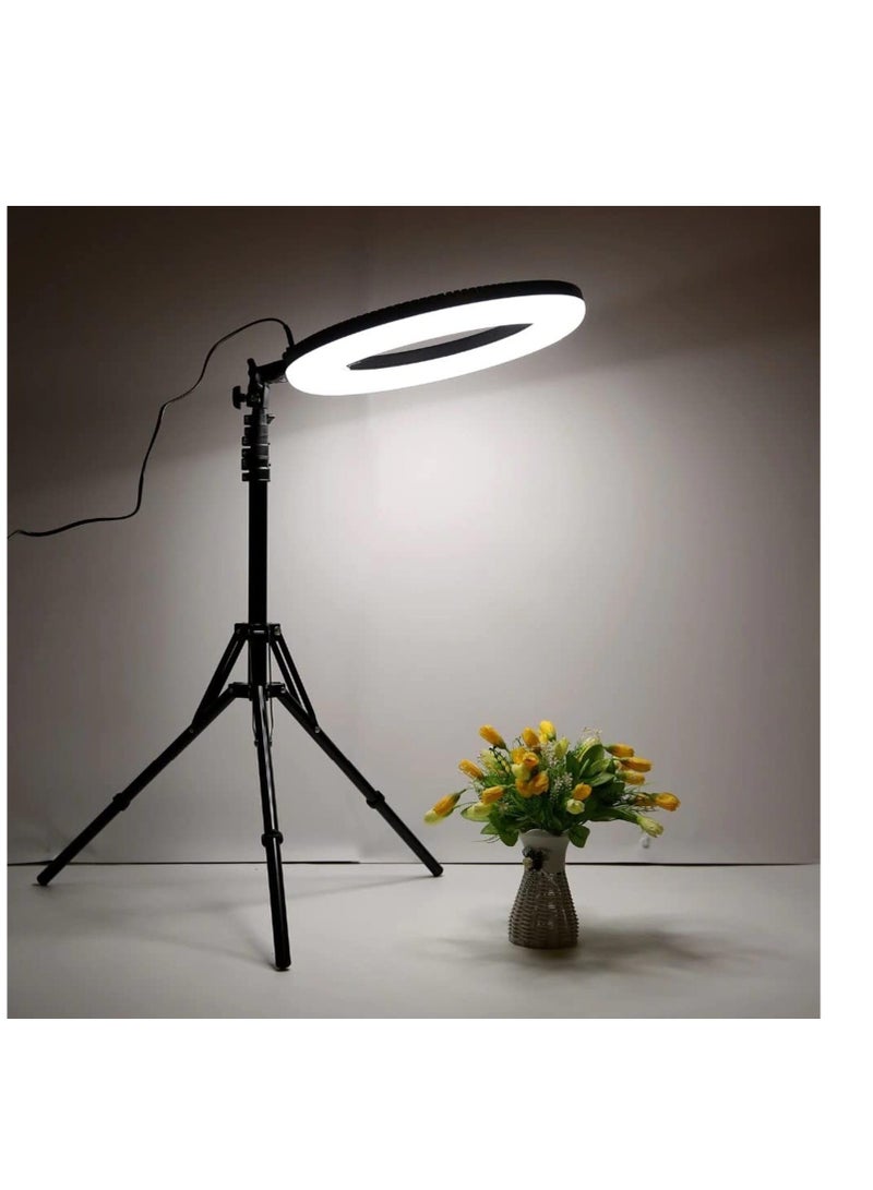 LED Ring Light with 3 Color Modes, Dimmable for YouTube, Photography, Video, Live Streaming, Makeup, and Vlogging (Includes 3 Stands + Remote Control, 46 cm Ring + Stand) - Image 3