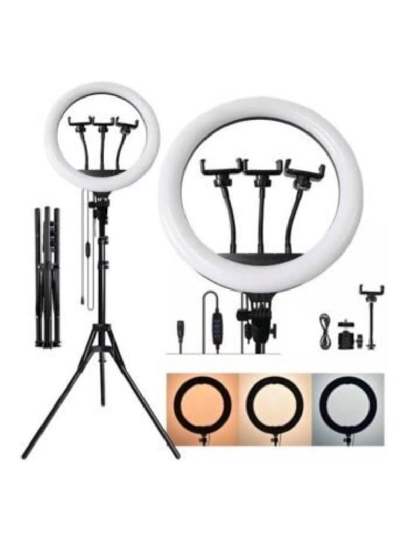 LED Ring Light with 3 Color Modes, Dimmable for YouTube, Photography, Video, Live Streaming, Makeup, and Vlogging (Includes 3 Stands + Remote Control, 46 cm Ring + Stand) - Image 4