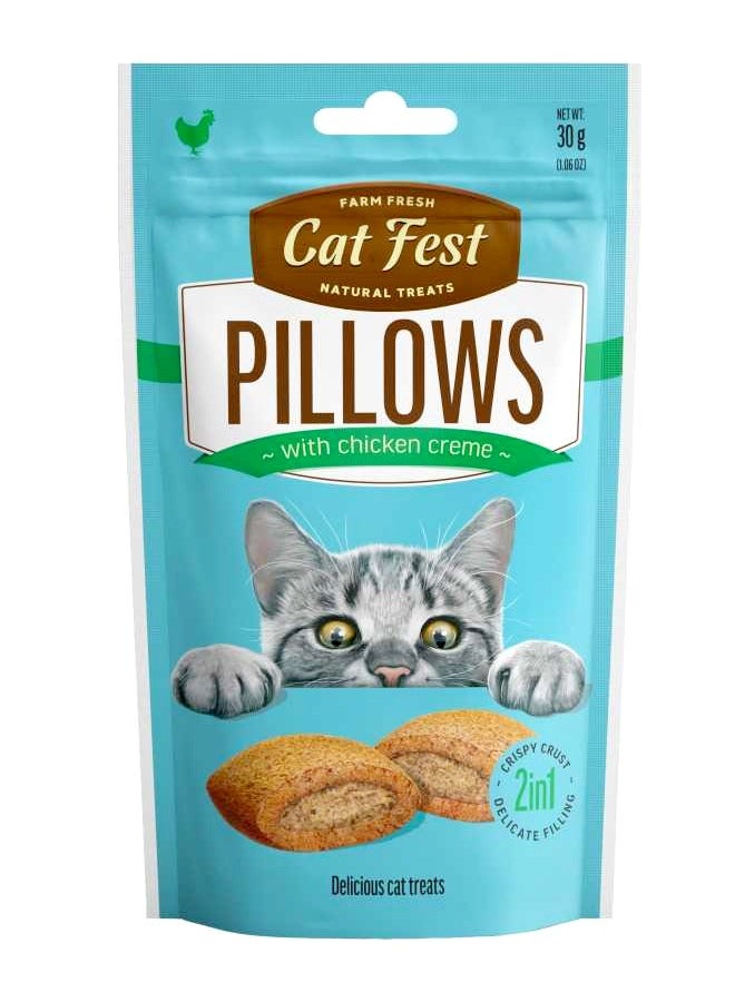Cat Fest وسائد بكريمة الدجاج - 30 جرام