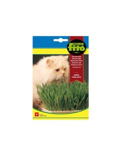 Fito Semilla Cat Seeds Fito Grass  - Image 3