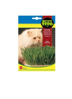 Fito Semilla Cat Seeds Fito Grass  - Image 2