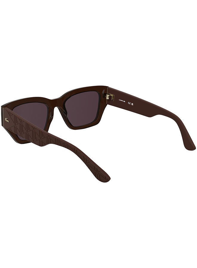 LACOSTE نظارات شمسية لاكوست كاملة الإطار من الأسيتات L6053S 5219 (210) بني داكن - Image 2