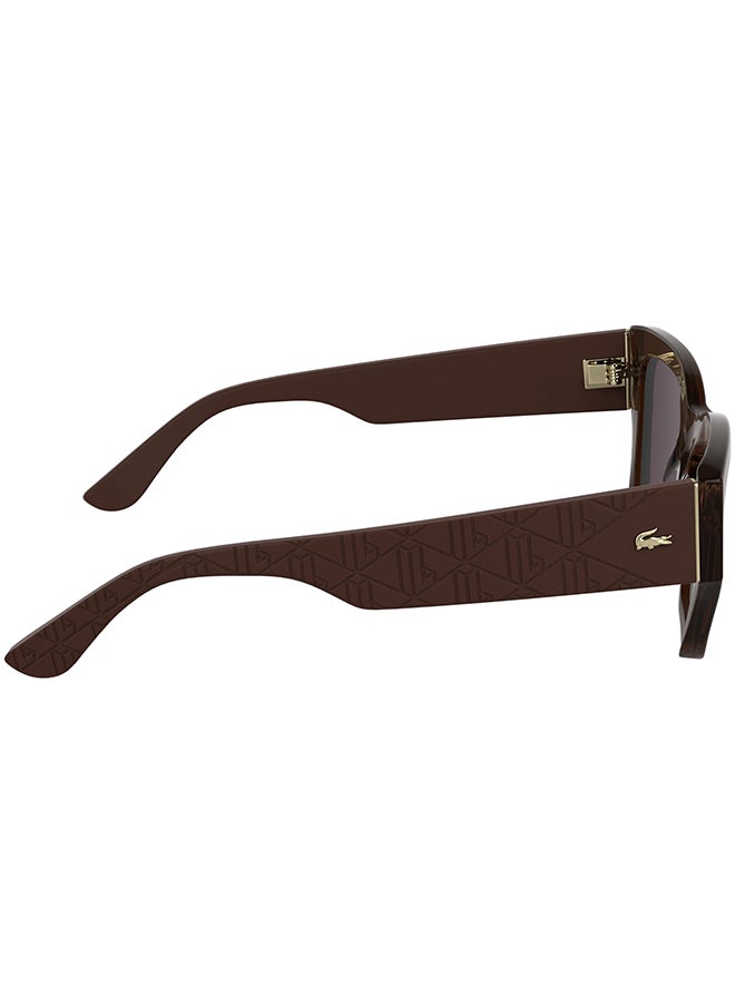 LACOSTE نظارات شمسية لاكوست كاملة الإطار من الأسيتات L6053S 5219 (210) بني داكن - Image 5