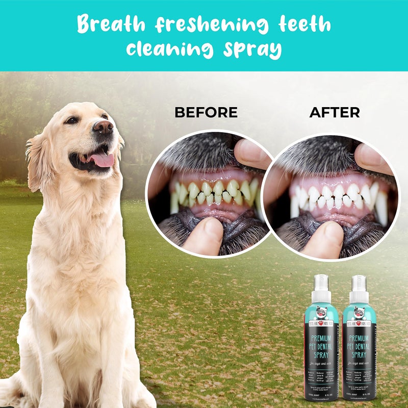 Pets Are Kids Too Pets Are Kids Too Premium Pet Dental Spray - 8oz Mint Dog Breath Freshener Cat Dental Care Dog Dental Mouthwash Dog Spray Dog Teeth Cleaning Fights Tartar Plaque Gum Disease Dog Breath Water Additive - Image 4